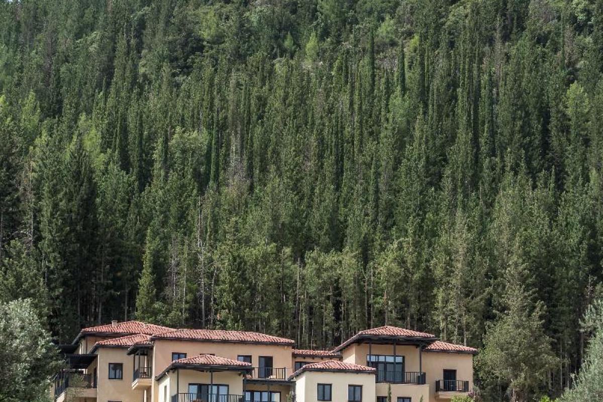 Euphoria Retreat - A Holistic Wellbeing Destination Spa