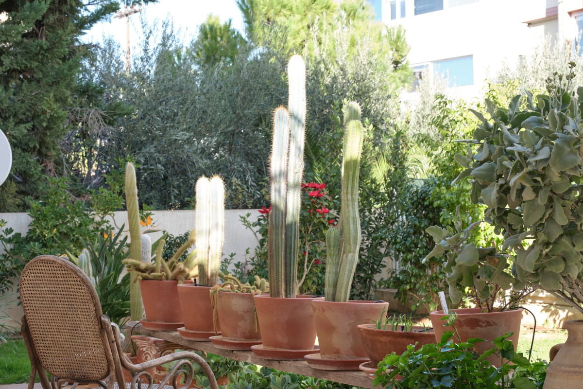 Evi's Voula Home