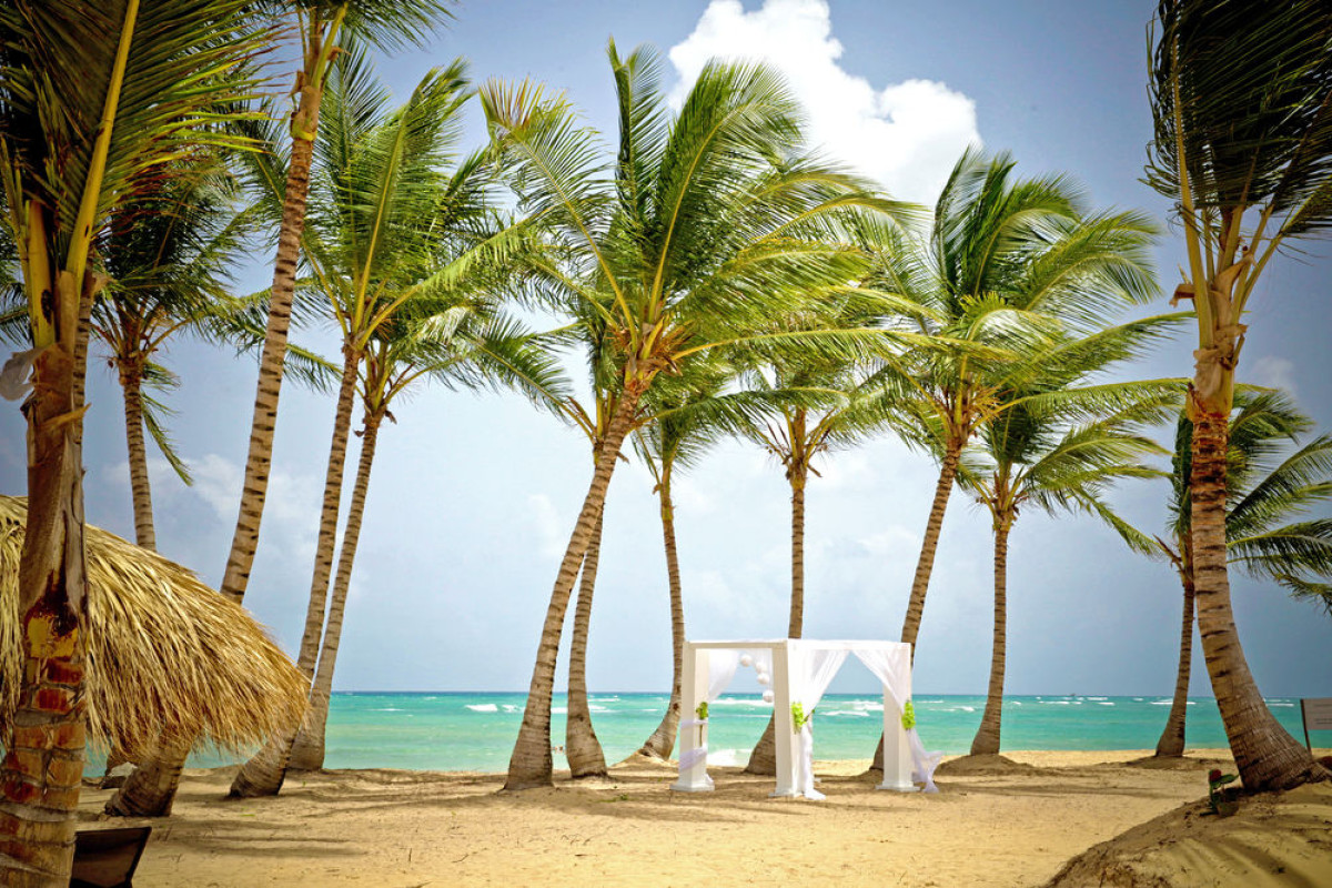 Excellence El Carmen - Adults Only