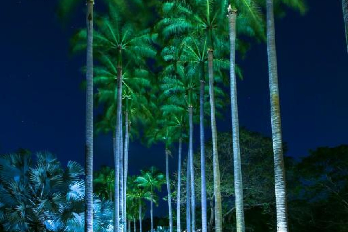 Fairmont Royal Pavilion Hotel