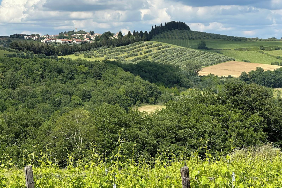 Fattoria Sant'appiano