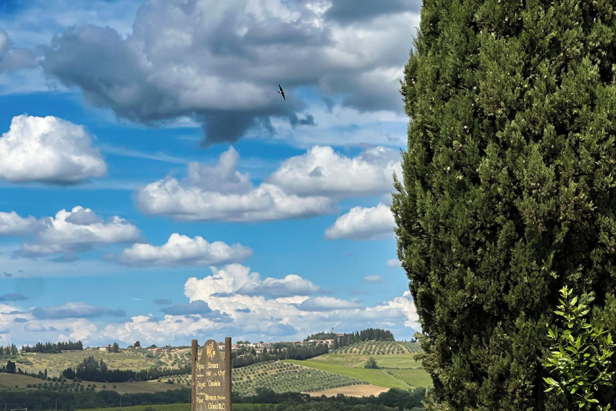 Fattoria Sant'appiano