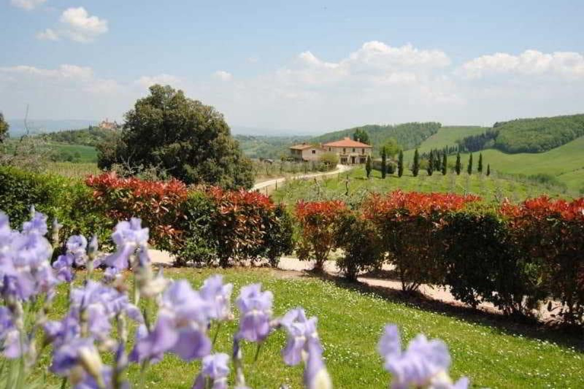 Fattoria Voltrona