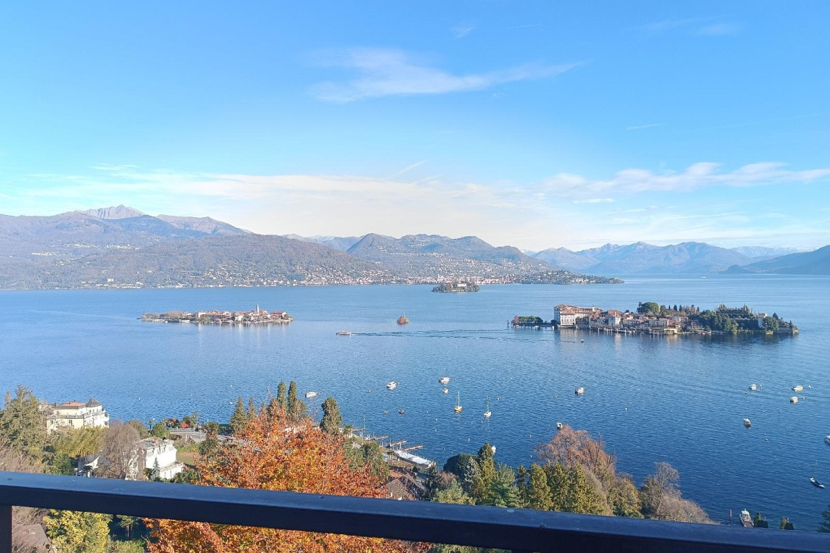 Felicità