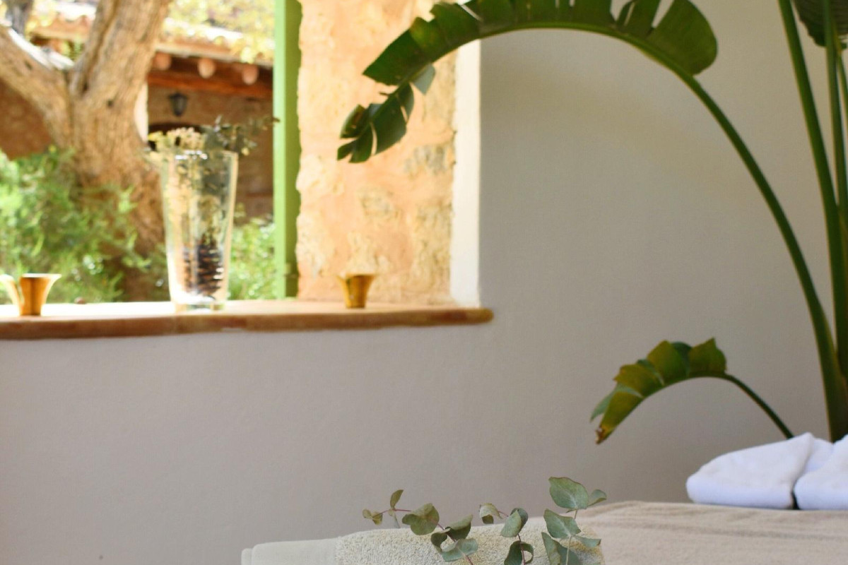 Finca Can Beneït