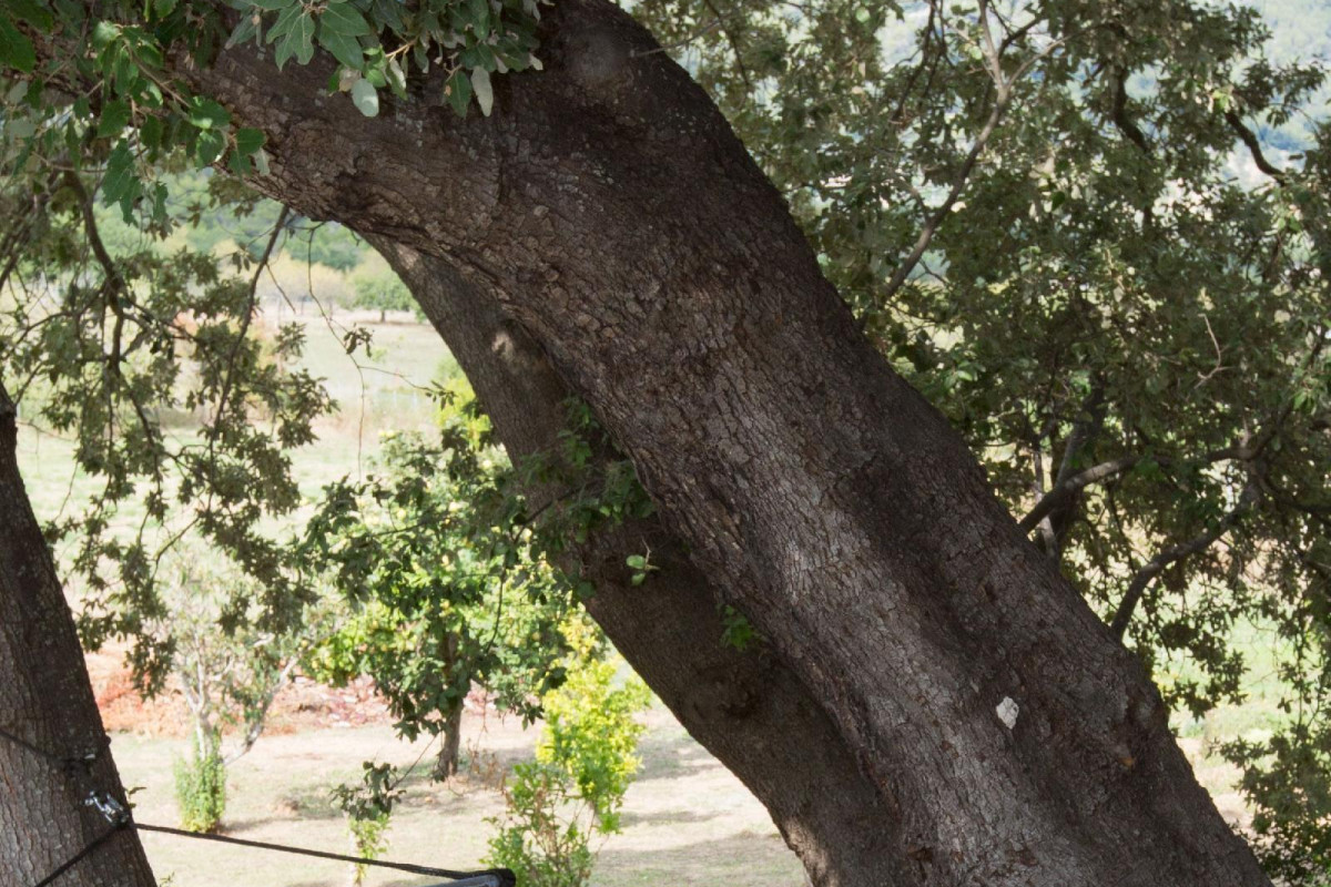 Finca Son Ametler