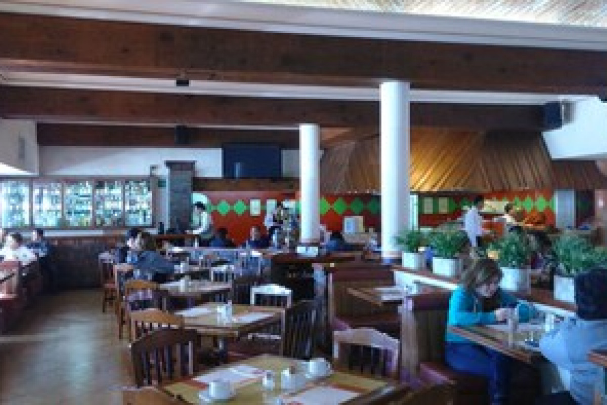 FLAMINGO INN