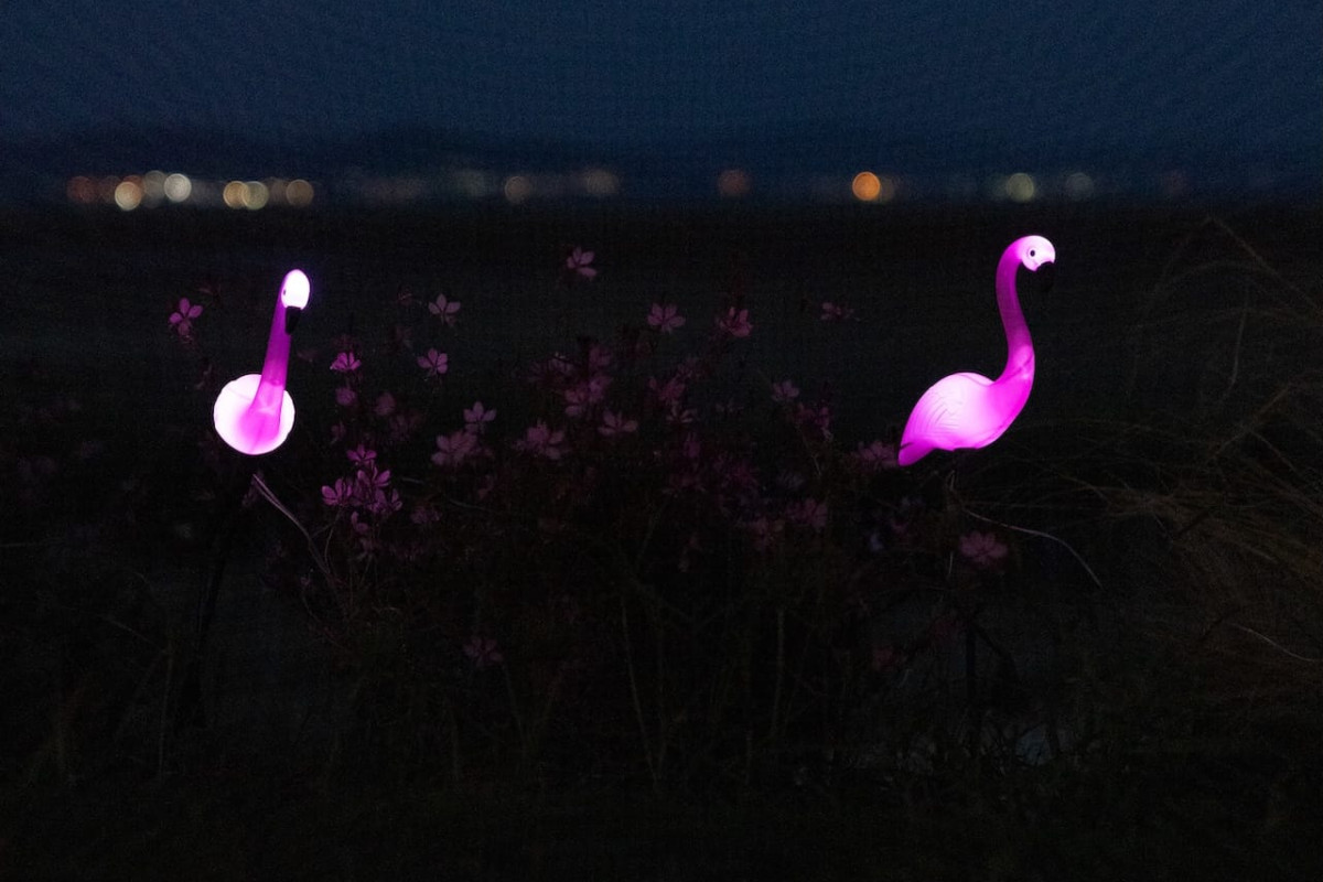 Flamingo Living Suites  Villas