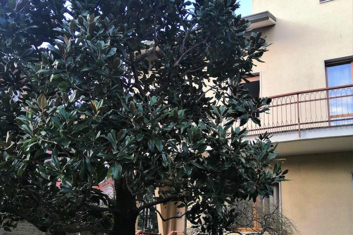 Flatmilan