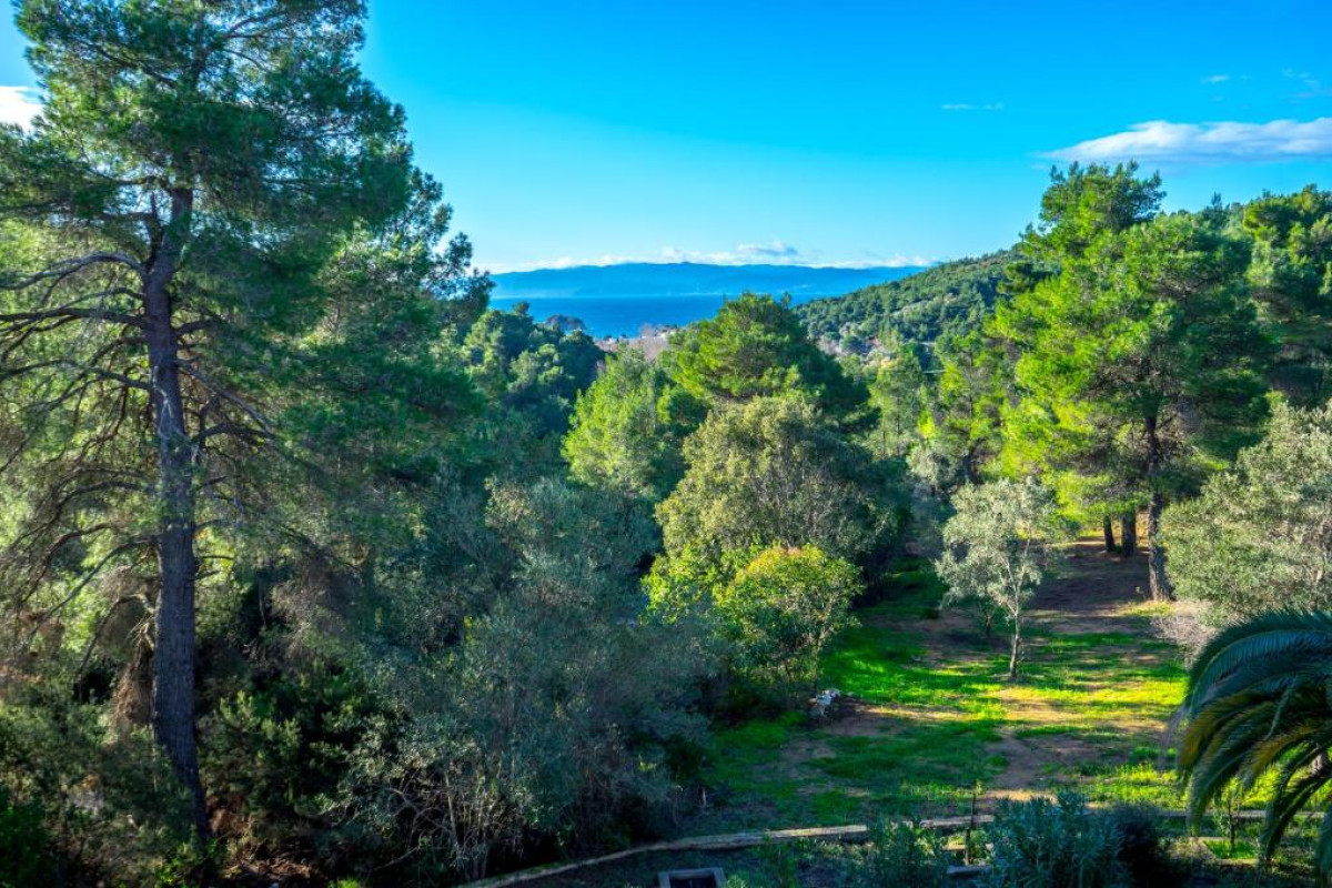 Forest Resort Suites Skiathos
