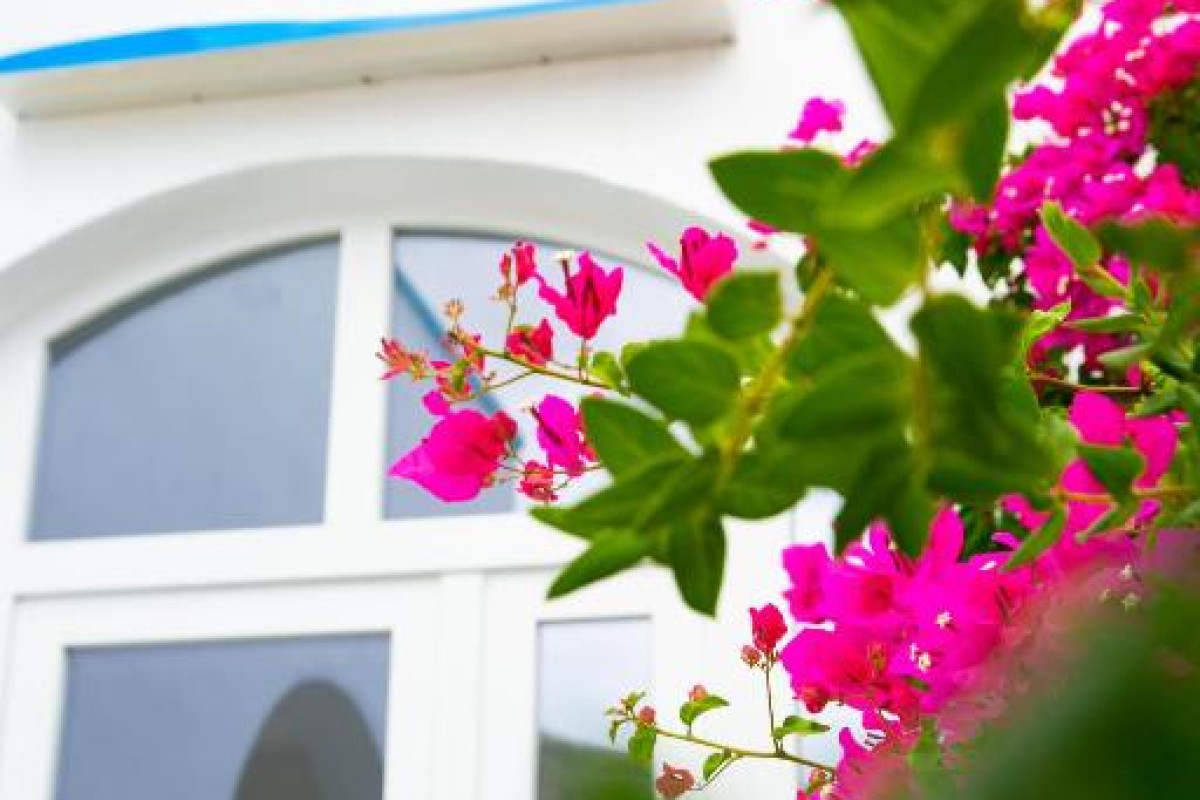 Gardenia Hotel