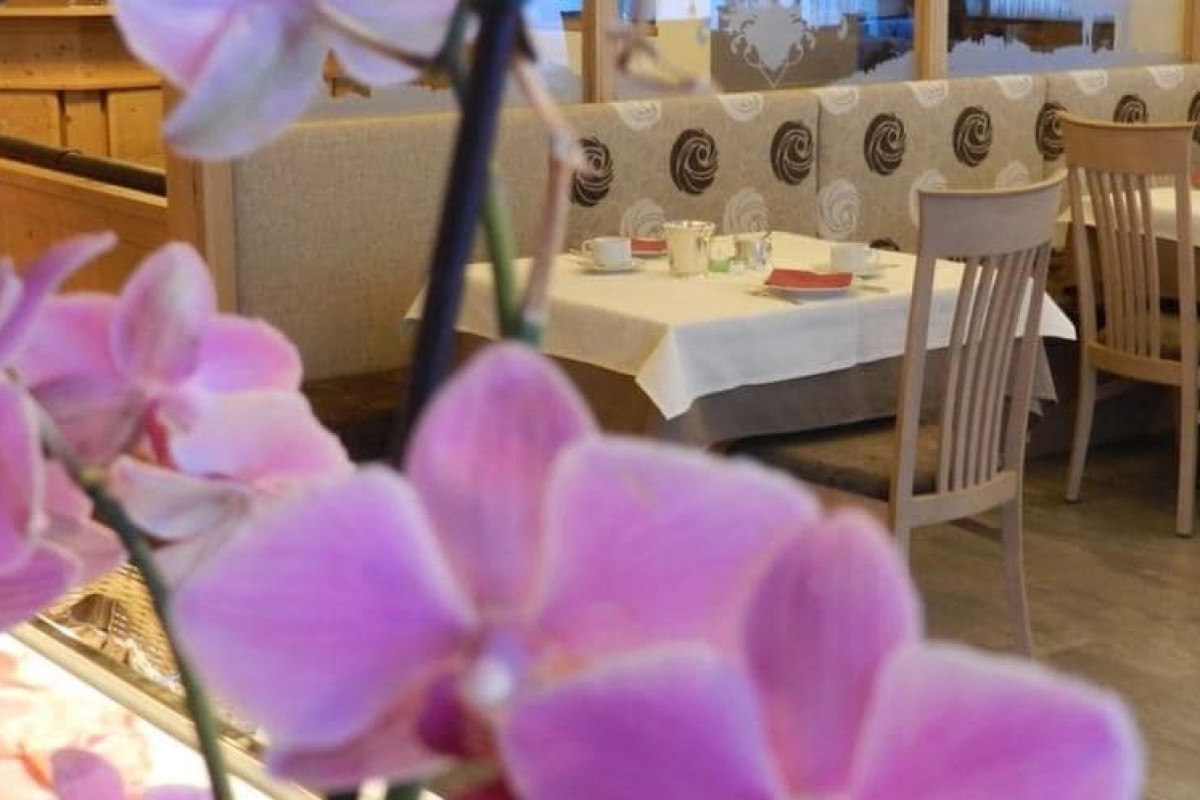 Garni Apartments Mezdi