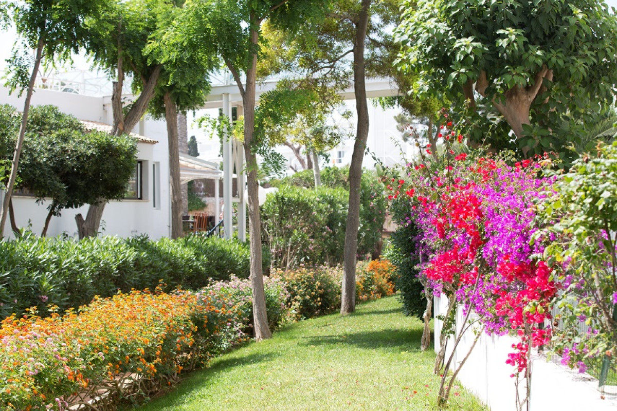 Gavimar Cala Gran Costa del Sur Hotel  Resort