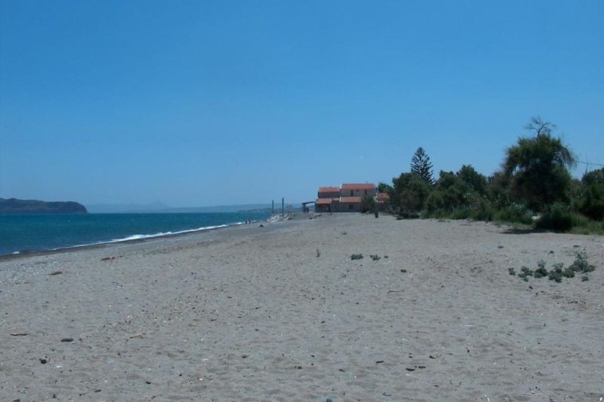 GERONA MARE