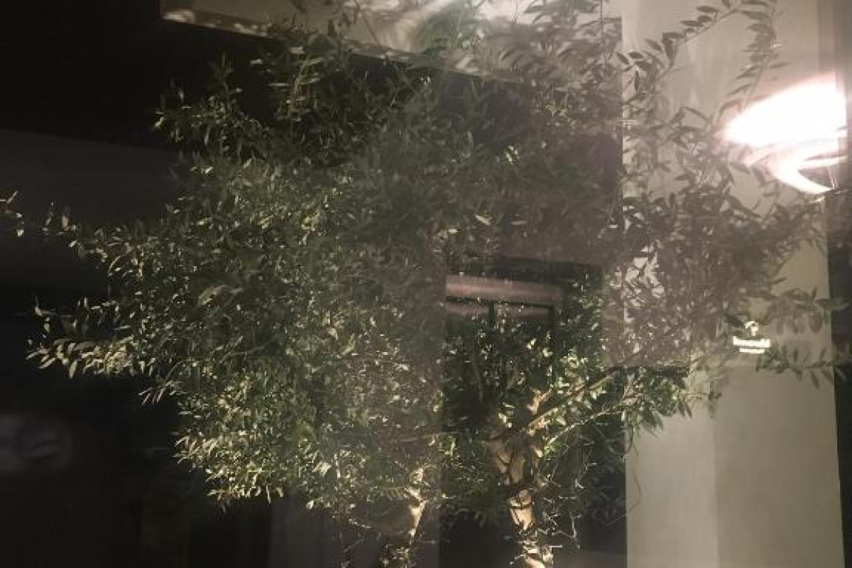 Glyfada Riviera Hotel