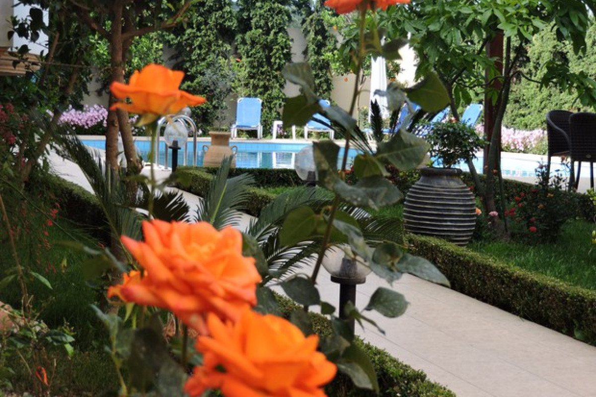 GOLDEN ROSE SUITES