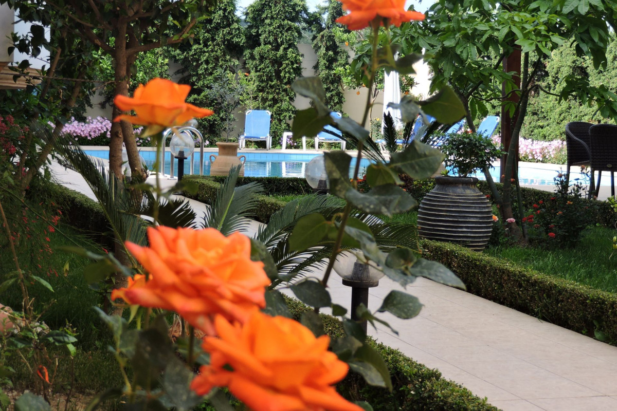 Golden Rose Suites