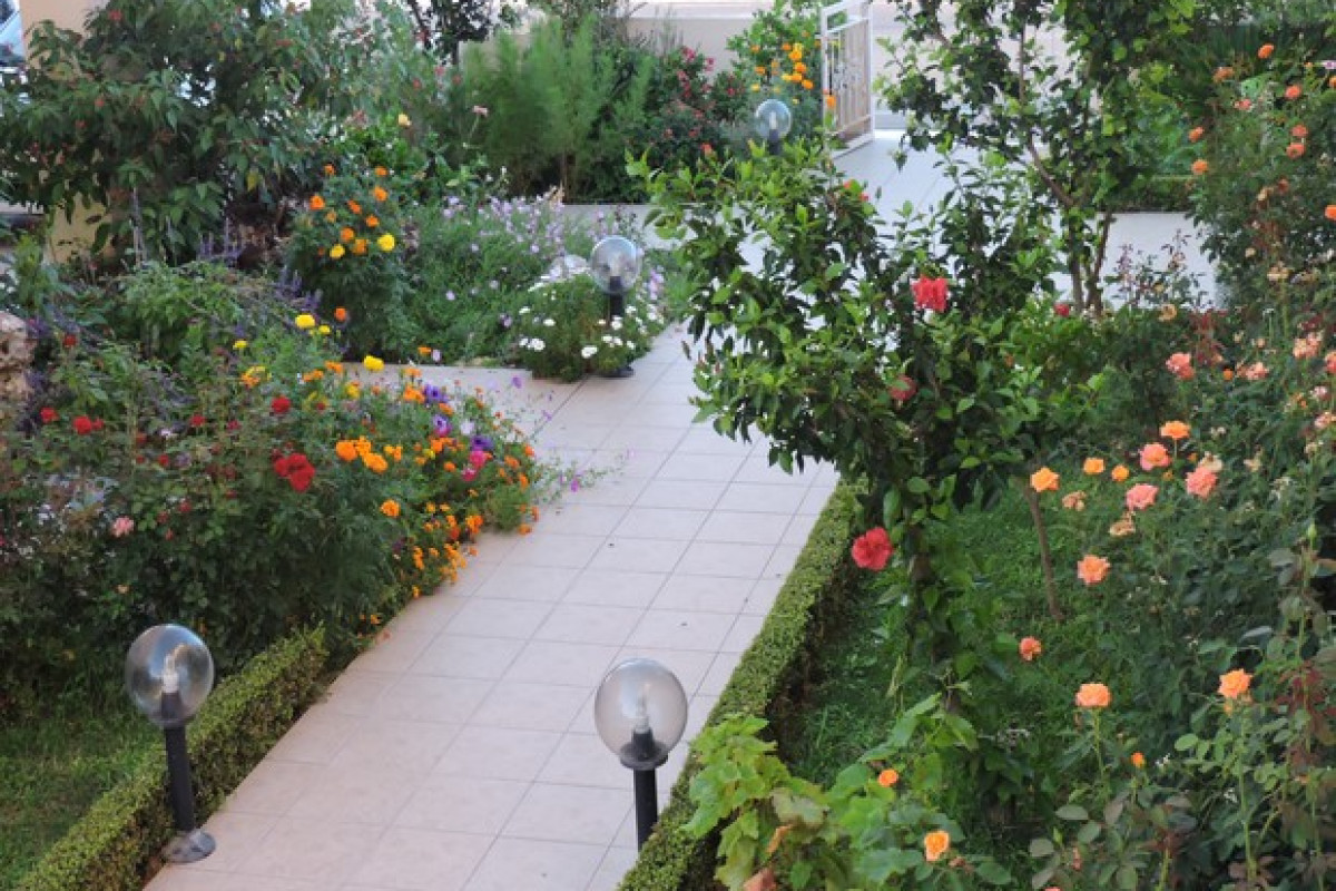 GOLDEN ROSE SUITES