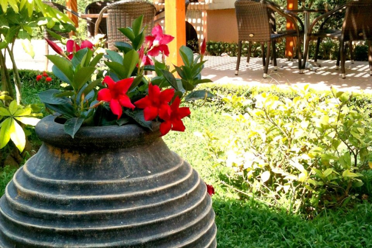GOLDEN ROSE SUITES