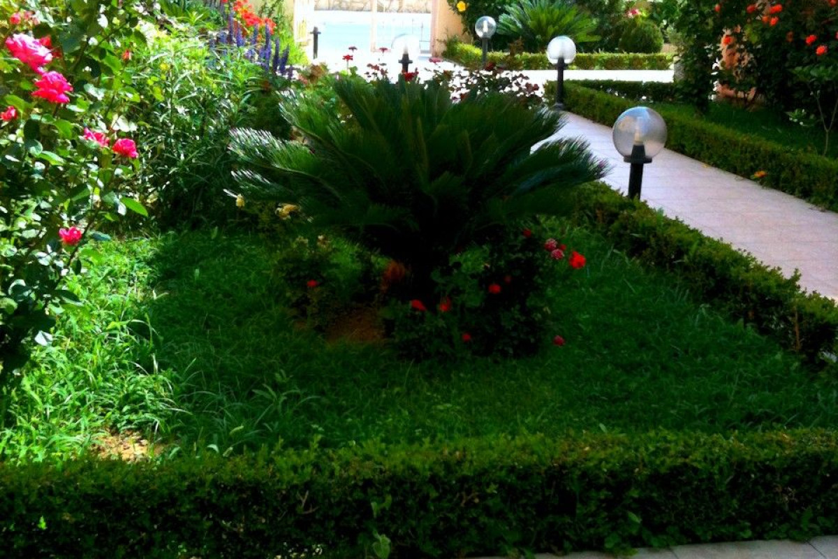 GOLDEN ROSE SUITES