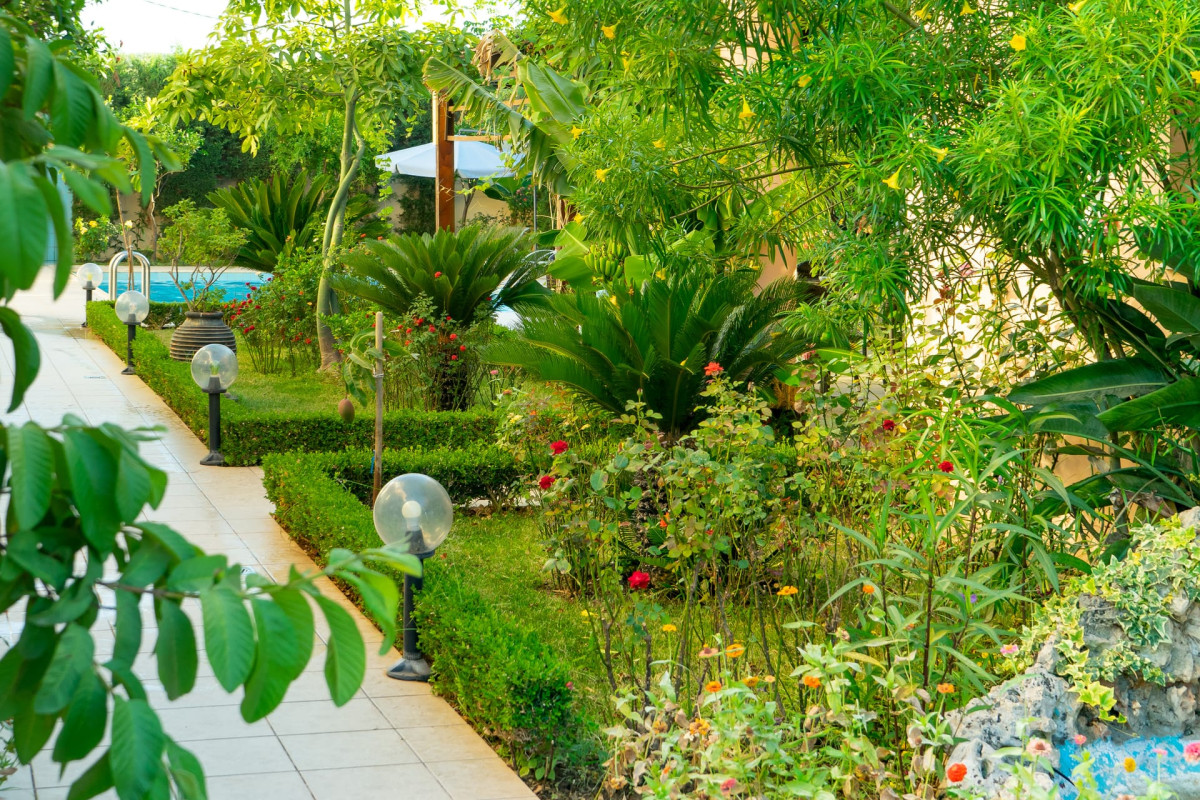 Golden Rose Suites