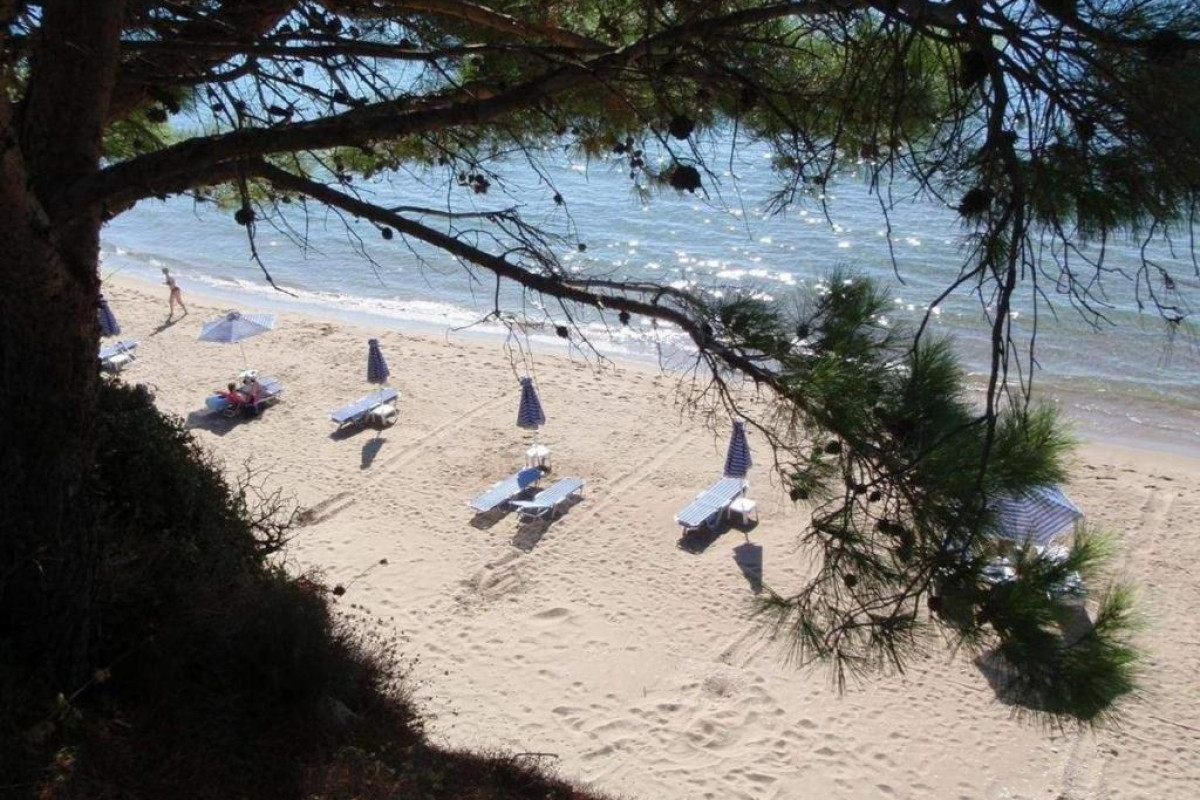 Golden Sand Hotel