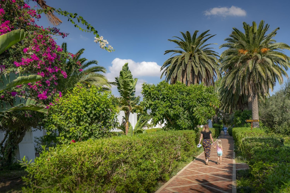 Le Hammamet