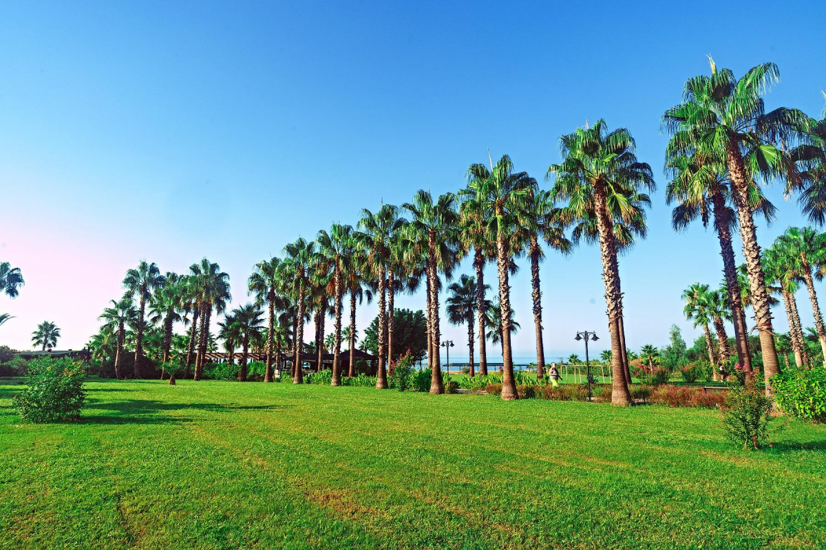 Royal Atlantis Beach