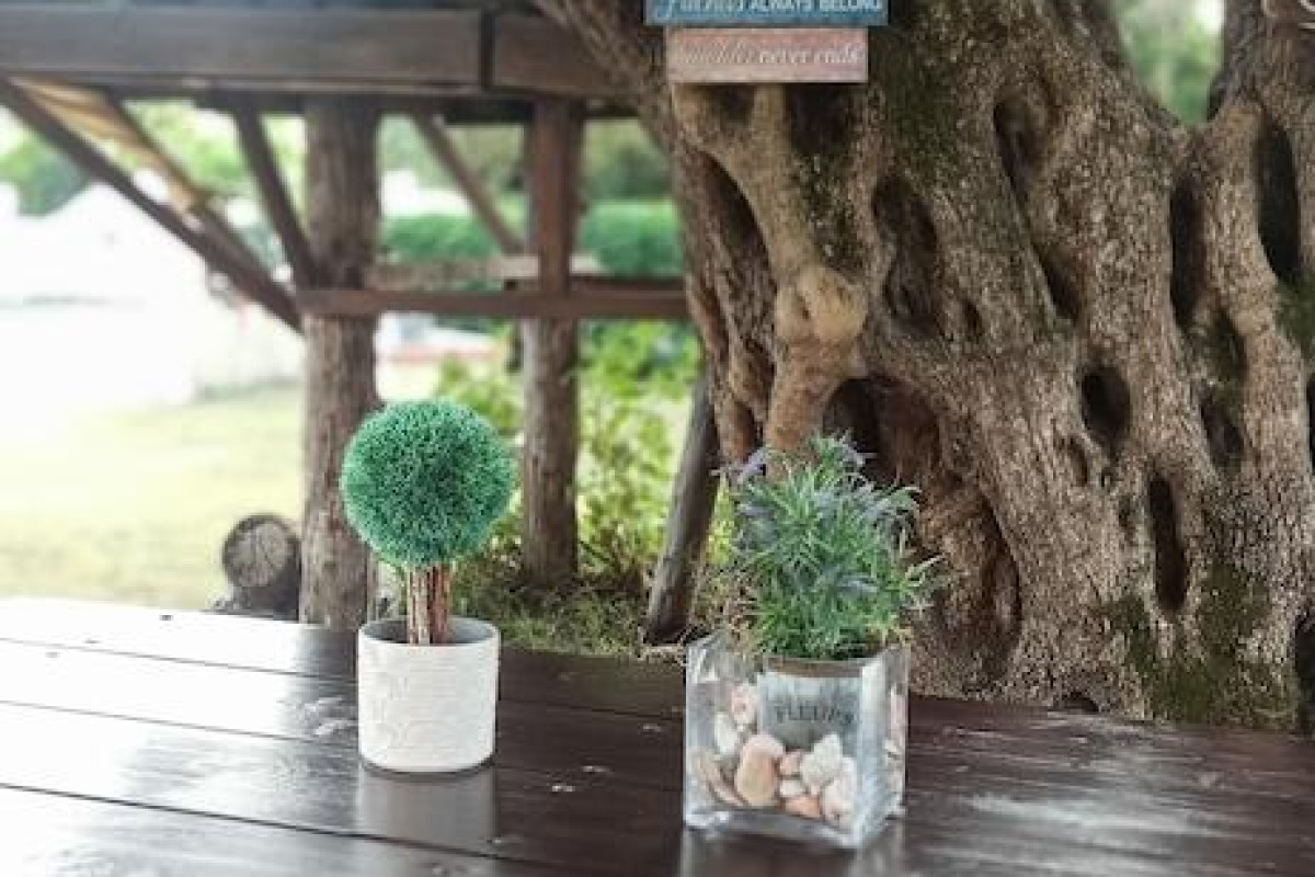 GREEN CORNER VILLAS