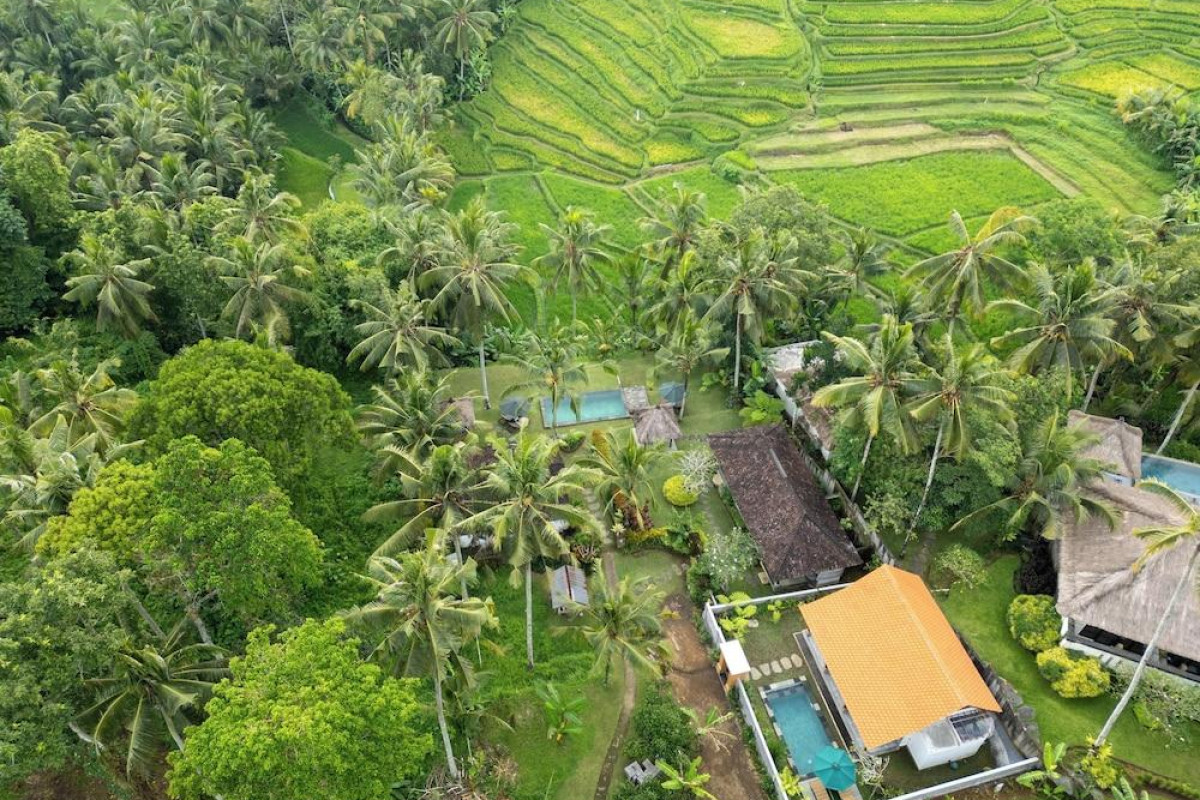 Green Sari Private Villa