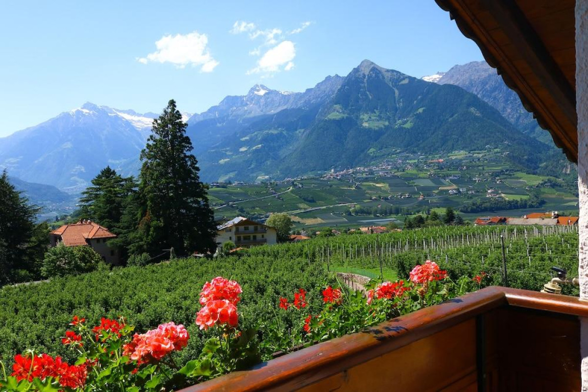 Guesthouse Pension Grafenstein