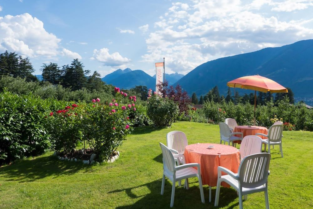 Guesthouse Pension Grafenstein