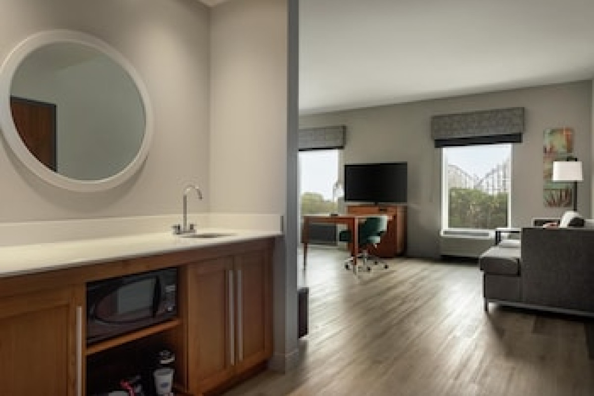 HAMPTON INN & SUITES TAMPA BUSCH GARDENS AREA