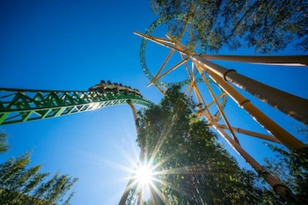 HAMPTON INN & SUITES TAMPA BUSCH GARDENS AREA