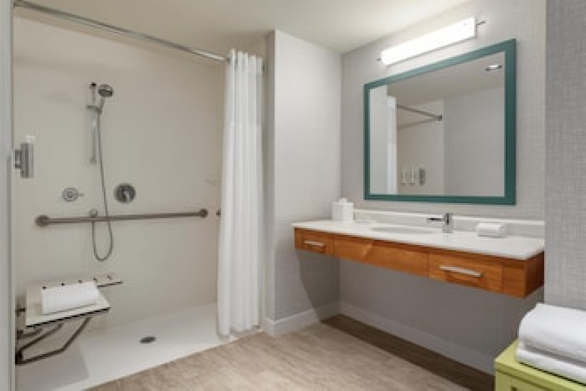 HAMPTON INN & SUITES TAMPA BUSCH GARDENS AREA