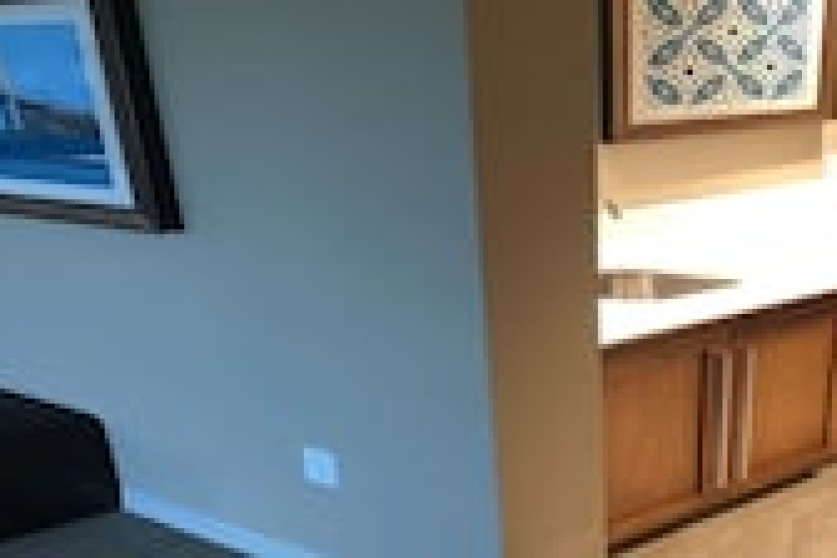 HAMPTON INN & SUITES TAMPA BUSCH GARDENS AREA