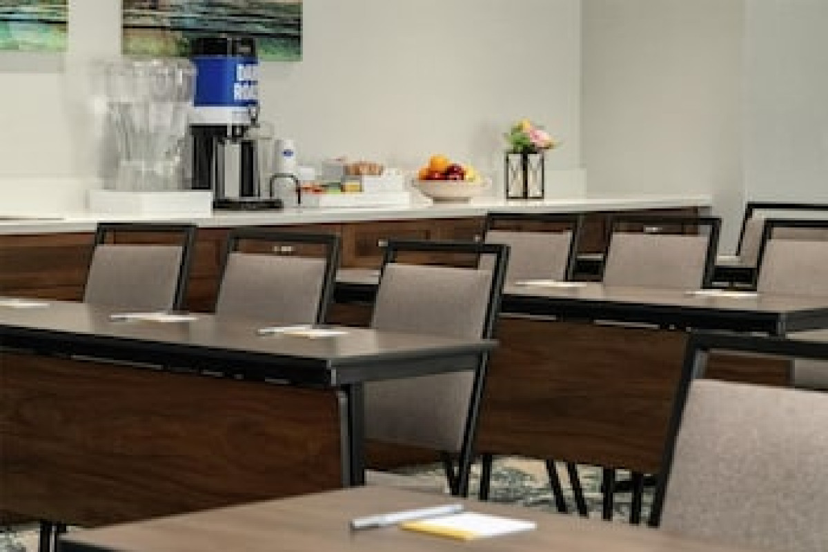 HAMPTON INN & SUITES TAMPA BUSCH GARDENS AREA