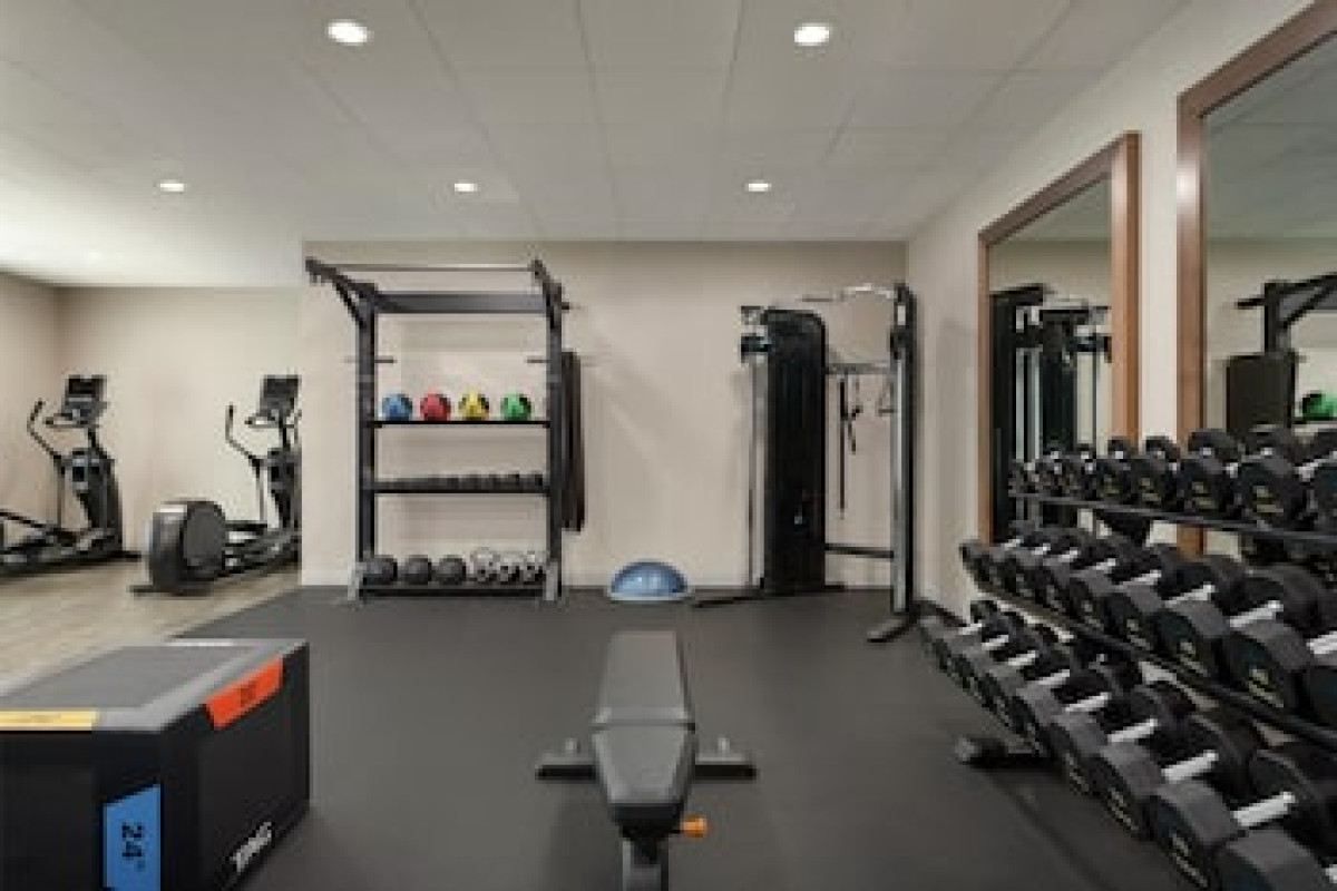 HAMPTON INN & SUITES TAMPA BUSCH GARDENS AREA