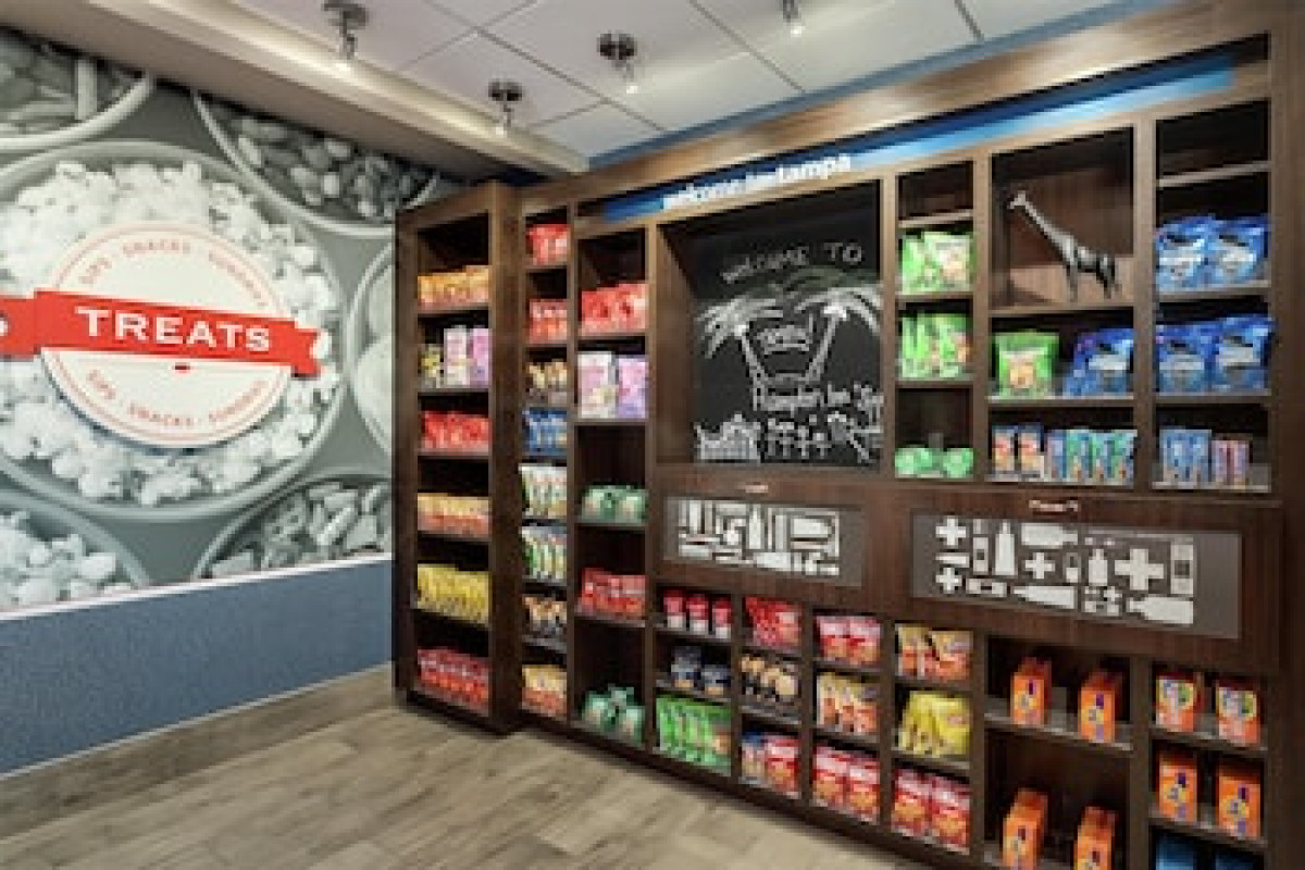 HAMPTON INN & SUITES TAMPA BUSCH GARDENS AREA