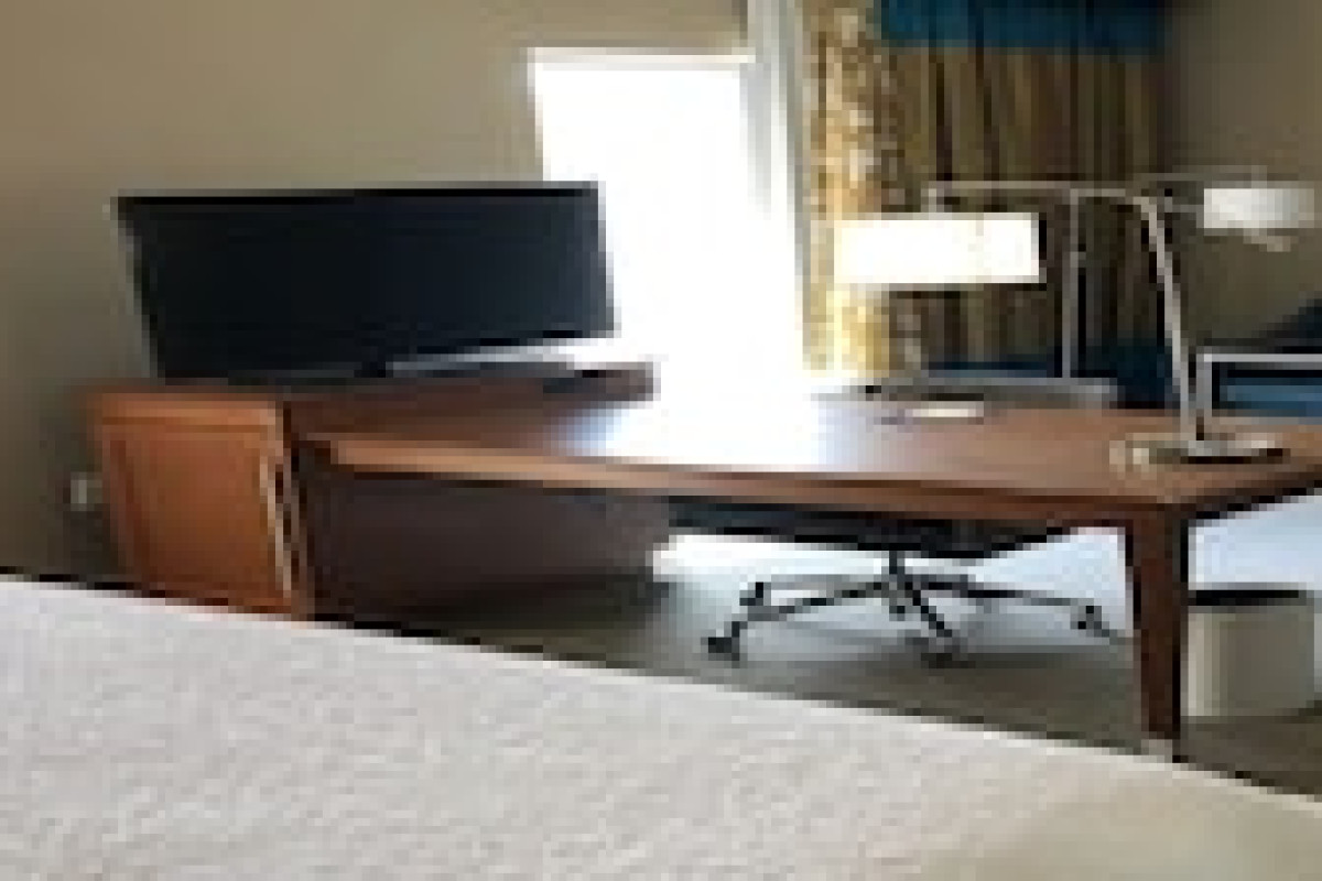 HAMPTON INN & SUITES TAMPA BUSCH GARDENS AREA