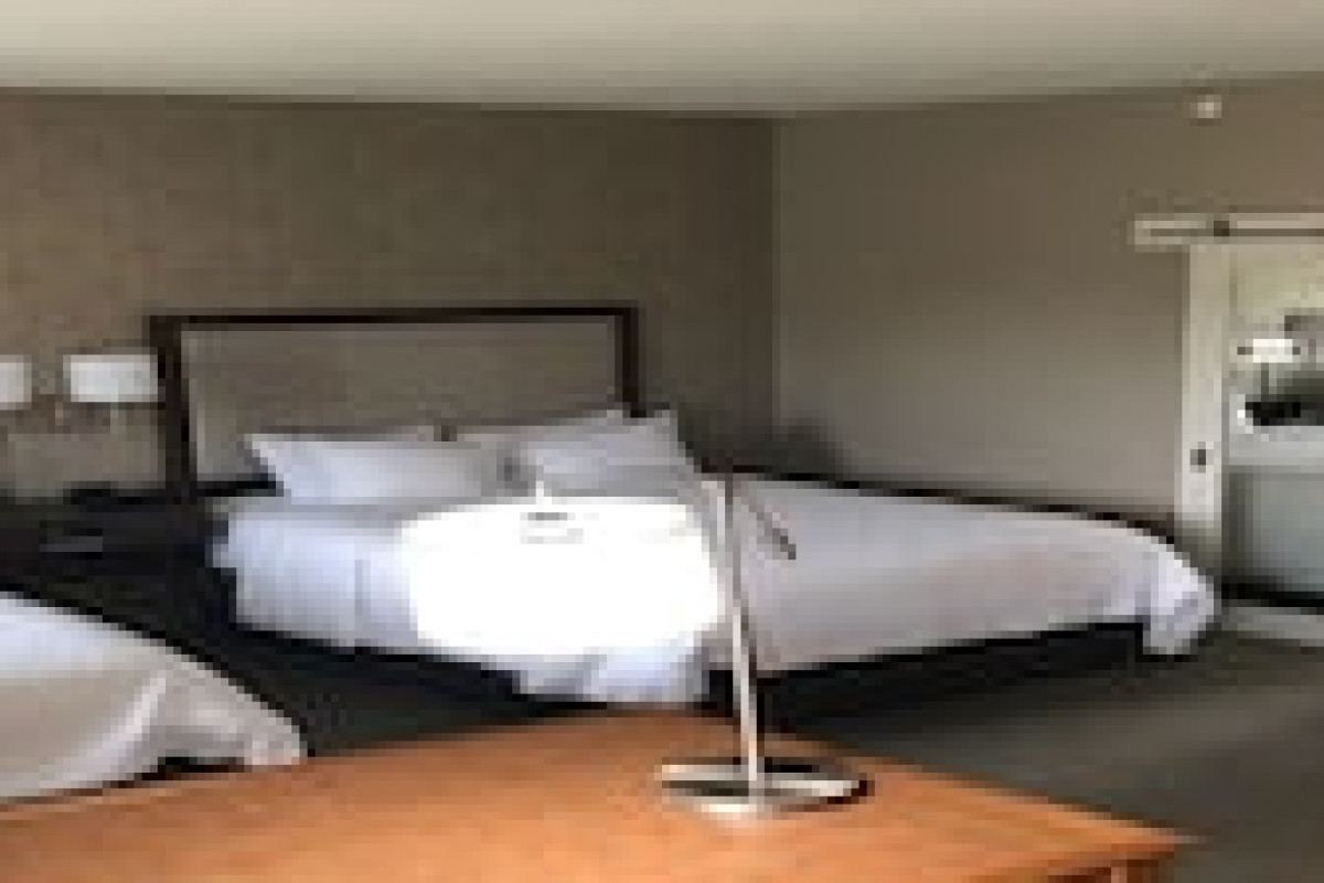 HAMPTON INN & SUITES TAMPA BUSCH GARDENS AREA