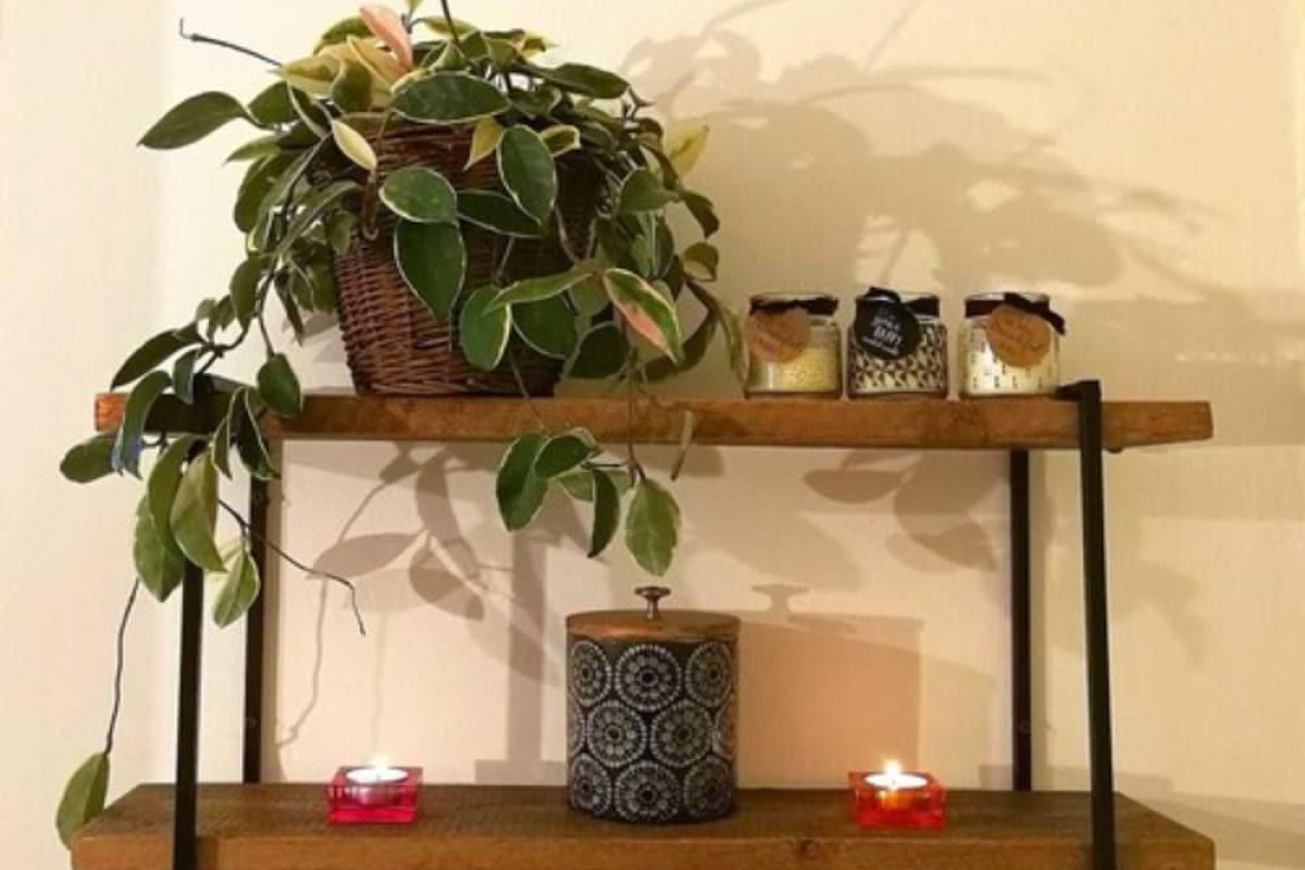 Happy Travelers Apartment