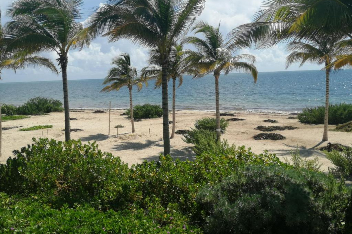 Haven Riviera Cancun