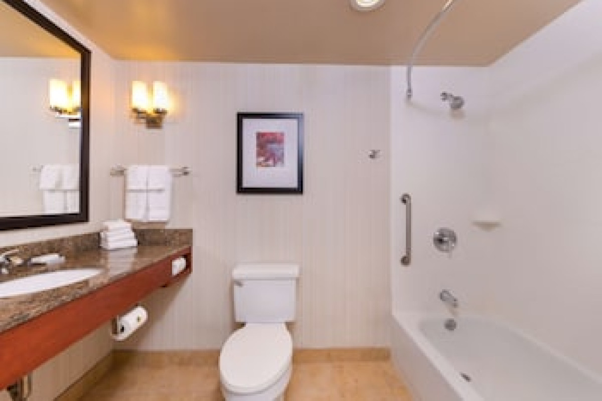 HILTON GARDEN INN BALTIMORE/WHITE MARSH