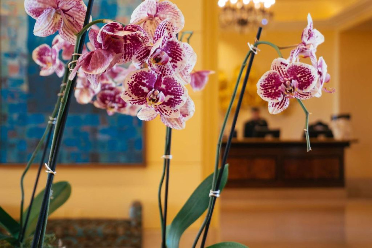 Hilton Lake Las Vegas Resort & Spa