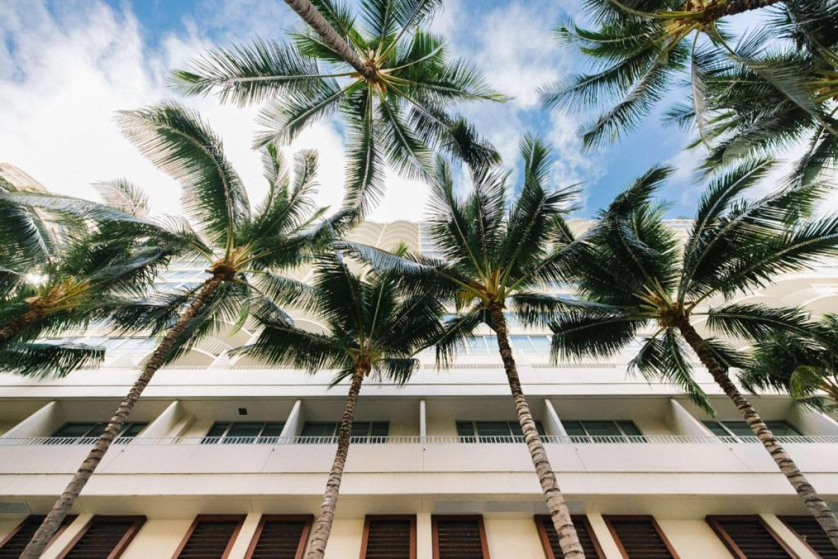 Hilton Vacation Club The Modern Honolulu
