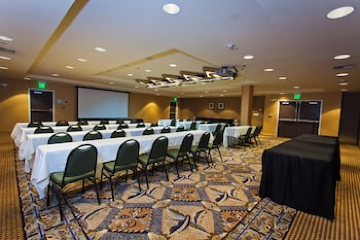 HOLIDAY INN EXPRESS HOTEL & SUITES SACRAMENTO NE CAL EXPO