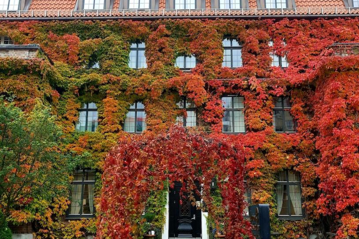 Home Hotel Gabelshus