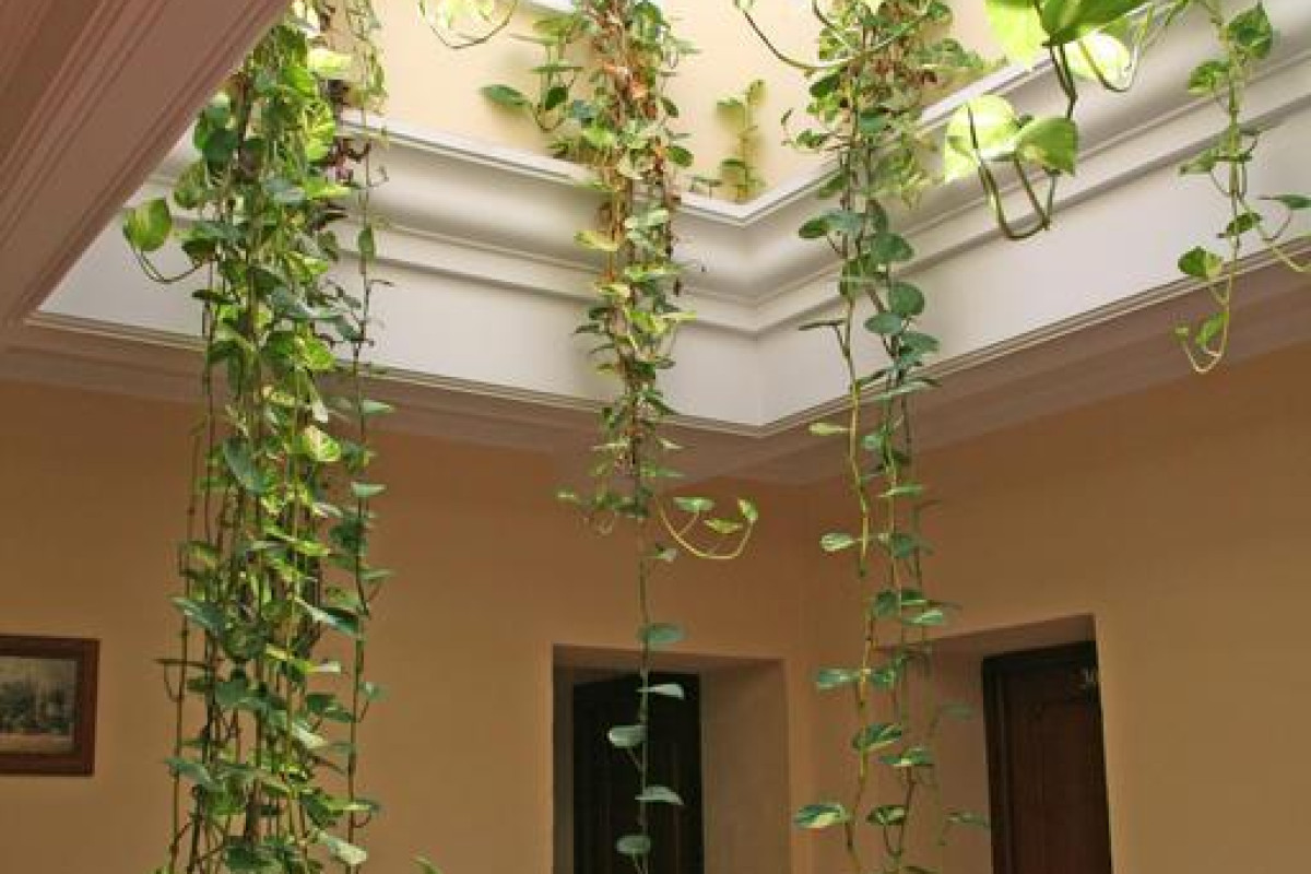 HOSTAL BAHIA