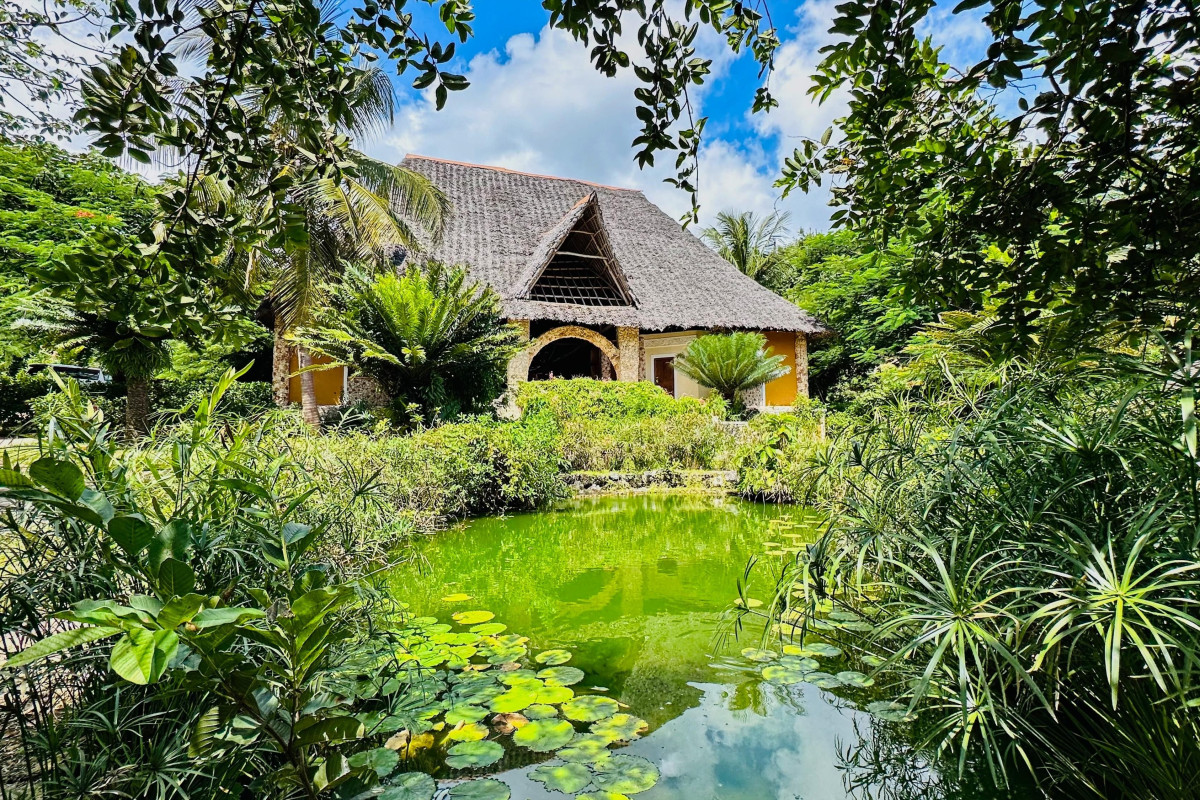Palumbo Mnemba View Resort